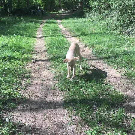 Relais Du Caudeau Lembras