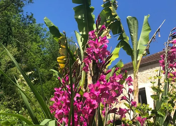 Nocleg ze śniadaniem Relais Du Caudeau Lembras