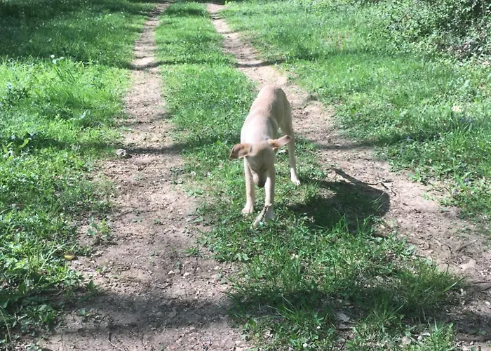 Relais Du Caudeau Lembras