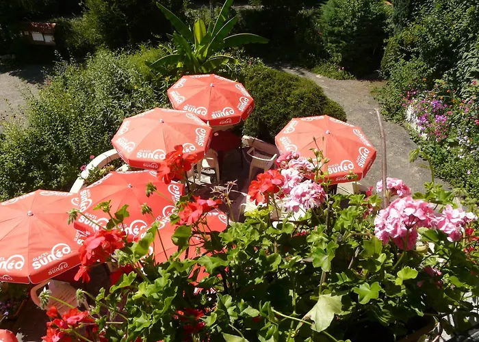 Nocleg ze śniadaniem Relais Du Caudeau 3*